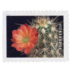 Cactus Flowers Stamps