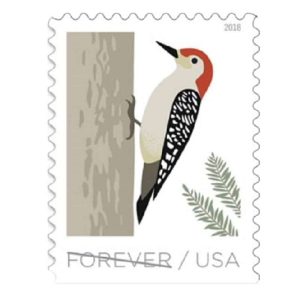Birds in Winter Stamps