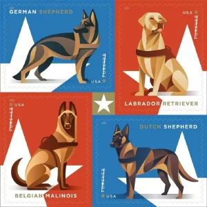 2019 Military Working Dogs