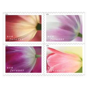 Tulip Blossoms Stamps