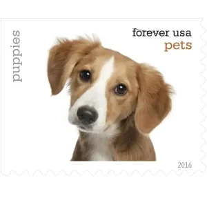 Pets Celebrate Animals Stamps