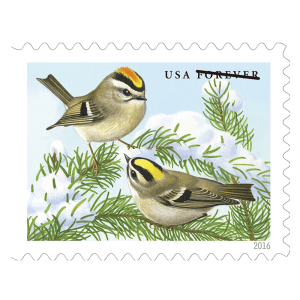 Songbirds in Snow Stamps